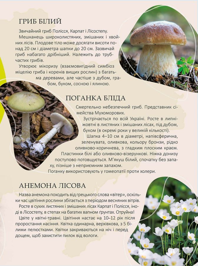 Перлини природи України
