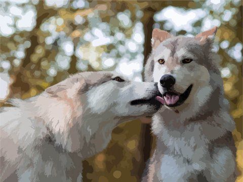 Картина за номерами "Більше ніж дружба" 40*50 см