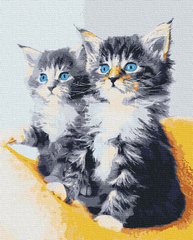 Картина за номерами "Блакитноокі кошенята" 40*50 см