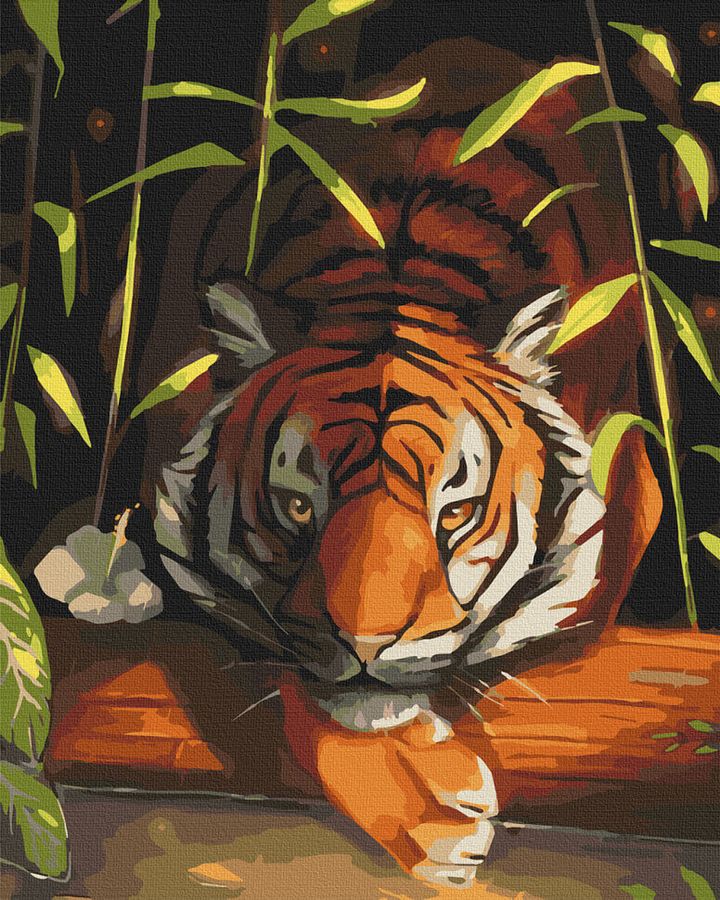 Картина за номерами "Бенгальський тигр" 40*50 см