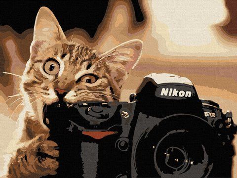 Картина за номерами "Пухнастий фотограф" 40*50 см
