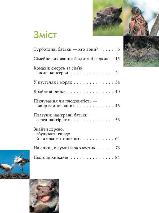 Батьки і діти у тваринному світі