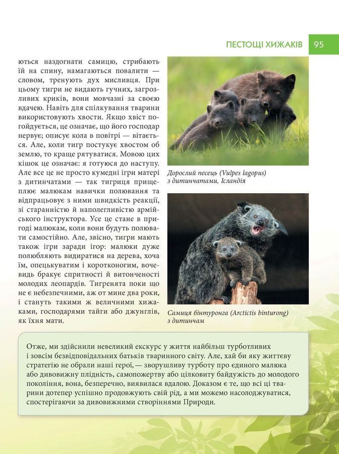 Батьки і діти у тваринному світі