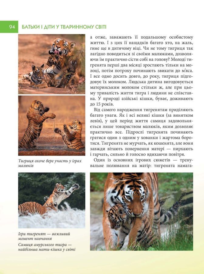 Батьки і діти у тваринному світі