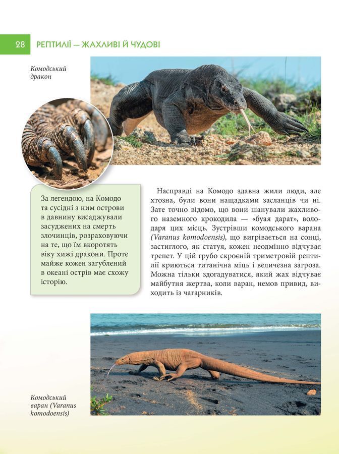 Рептилії &mdash; жахливі й чудові