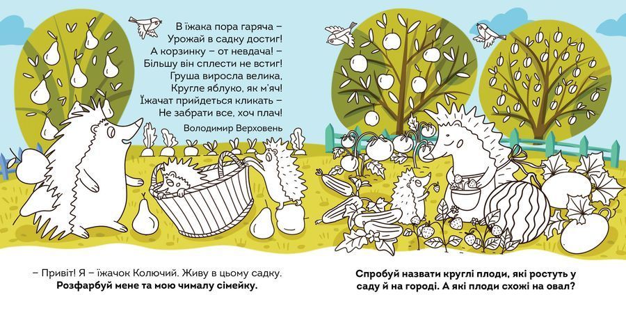 Садовина-городина