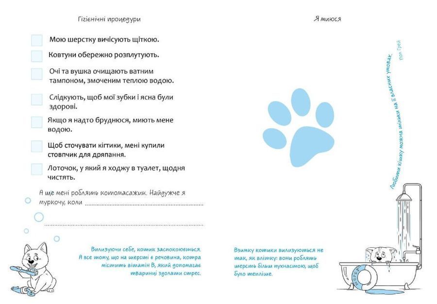 About my cat