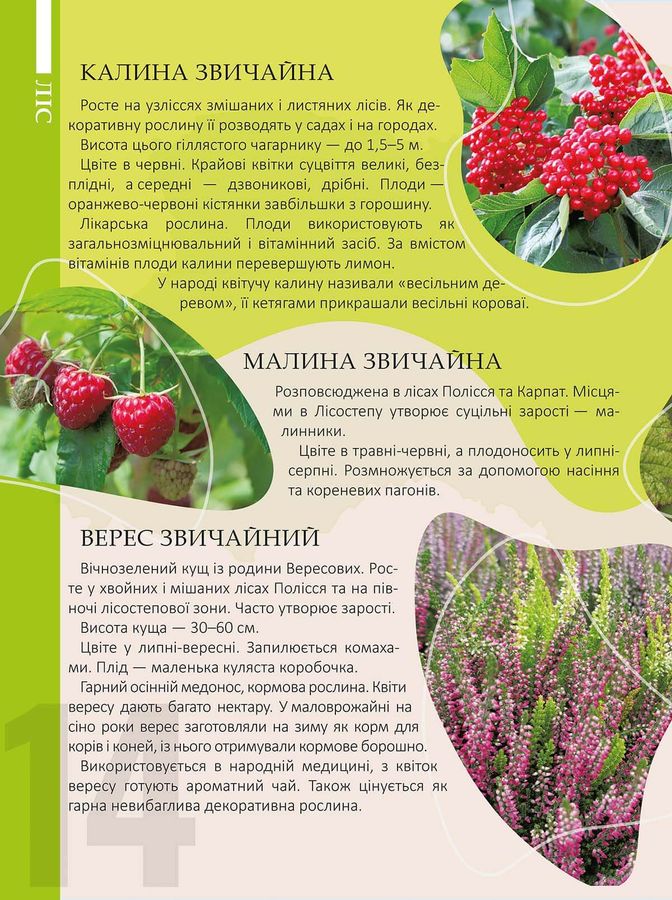 Енциклопедія для допитливих. Перлини природи України