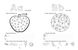 Прописи 4+ Англійська абетка